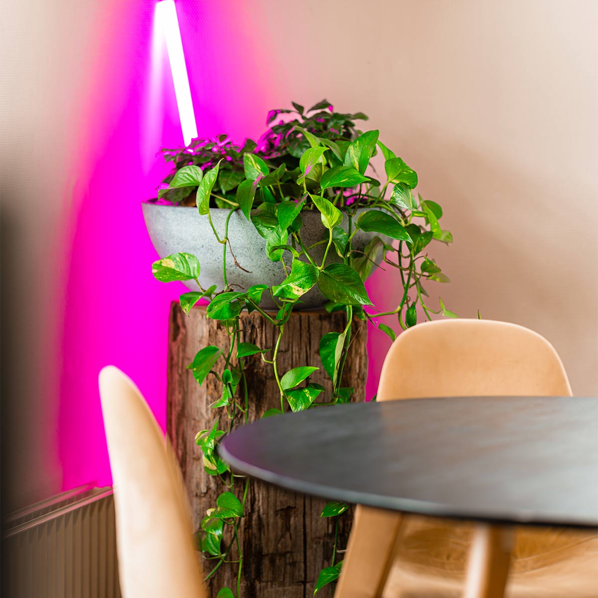 Webapplicatie laten maken | Kop Digitaal B.V. | Websites - Webshops - Webapplicaties