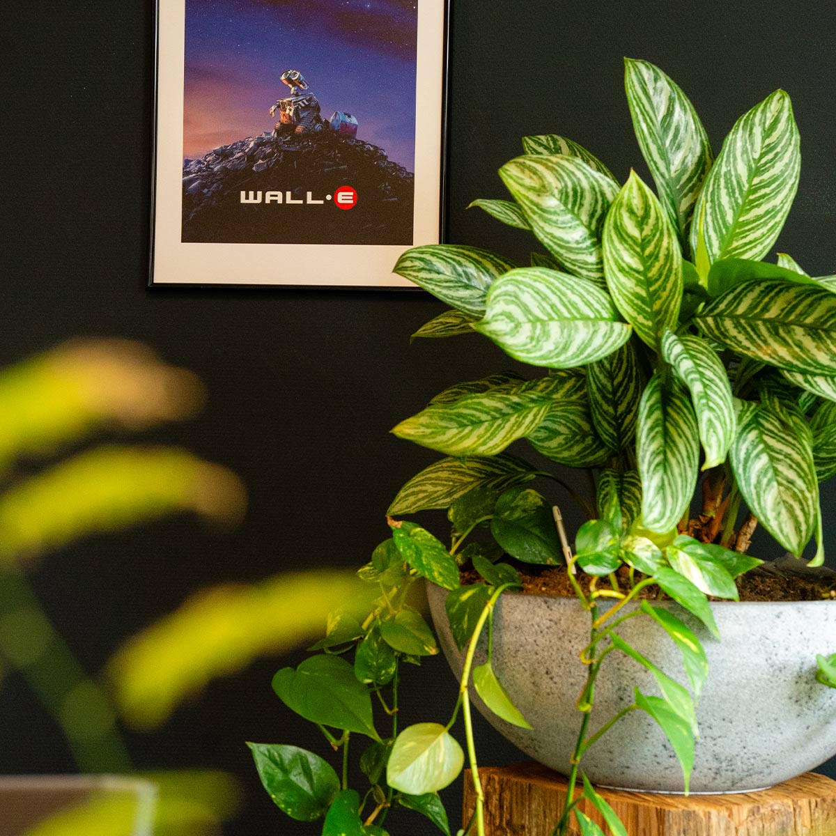 Website laten maken | Kop Digitaal B.V. | Websites - Webshops - Webapplicaties