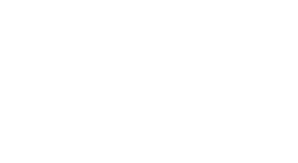 Logo DINR| Kop Digitaal B.V. | Web - Design - Marketing