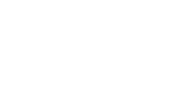 Logo Duin Tegels | Kop Digitaal B.V. | Web - Design - Marketing
